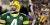 A GB Packer 2007 review (so close but yet so Favre) and 2008 preview (no more Favre!??)